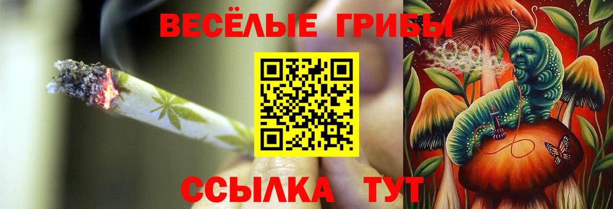 хочу наркоту  Галлюциногенные грибы ЛСД  Вход с VPN  Шатура 